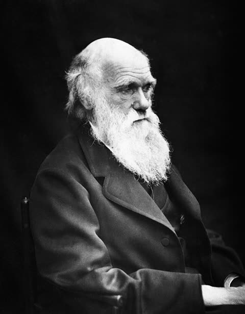 Ritratto di Charles Darwin